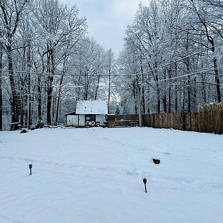 Romantyczna Chatka Pisarzowice  المظهر الخارجي الصورة