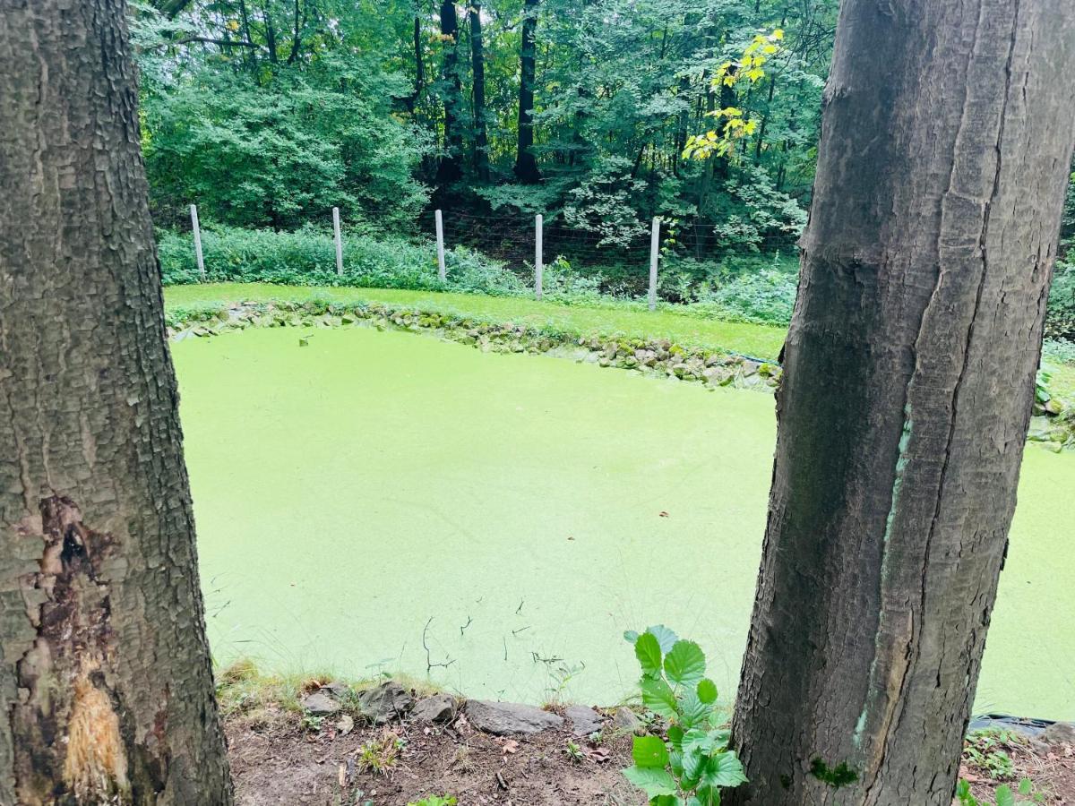 Romantyczna Chatka Pisarzowice  المظهر الخارجي الصورة