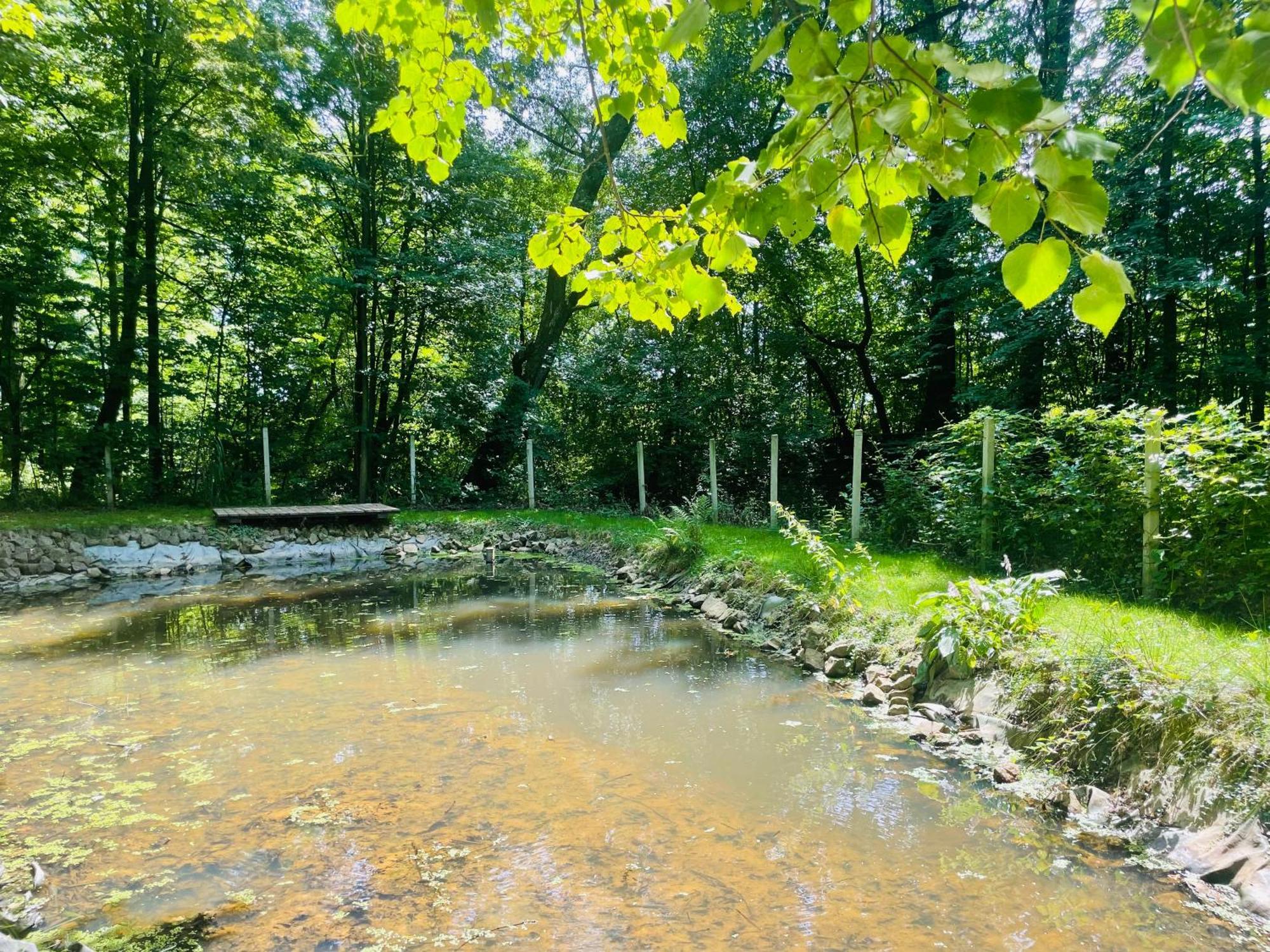 Romantyczna Chatka Pisarzowice  المظهر الخارجي الصورة